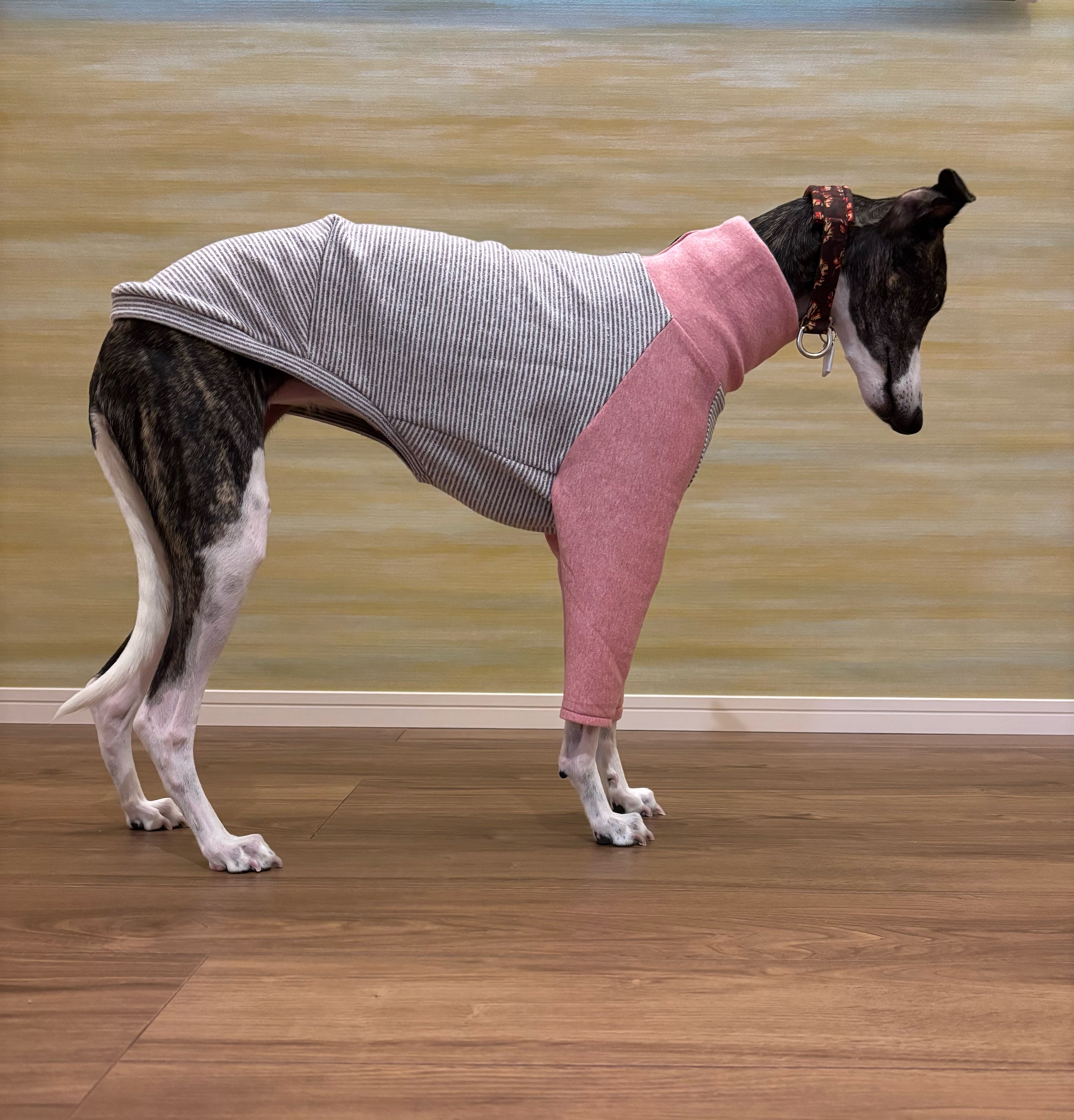 【受注制作】ハイネックTシャツ（ストライプ・レッド）