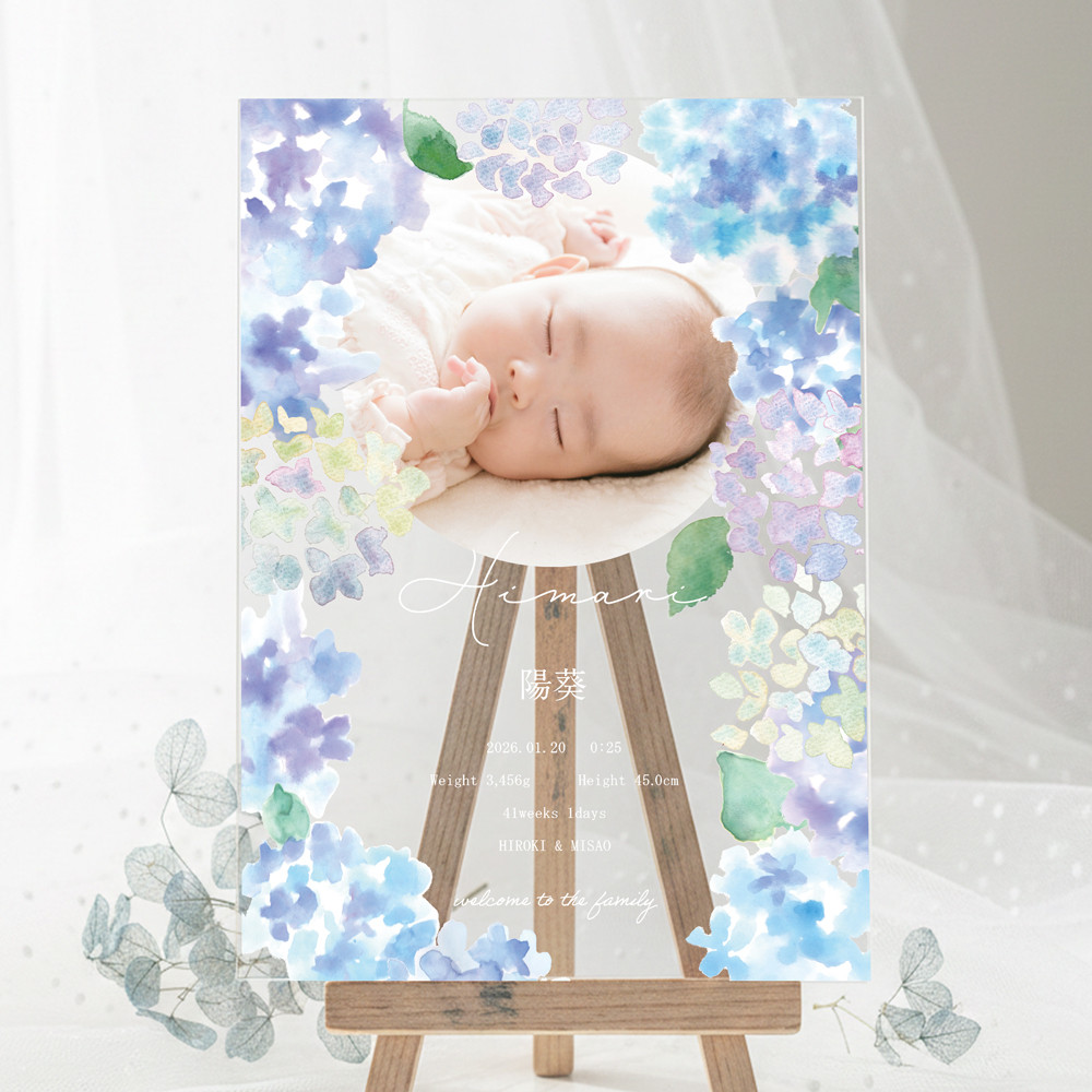 あじさいの命名書  オーダーメイド 写真入り 名入れ  ベビーポスター アクリル 透明 紫陽花