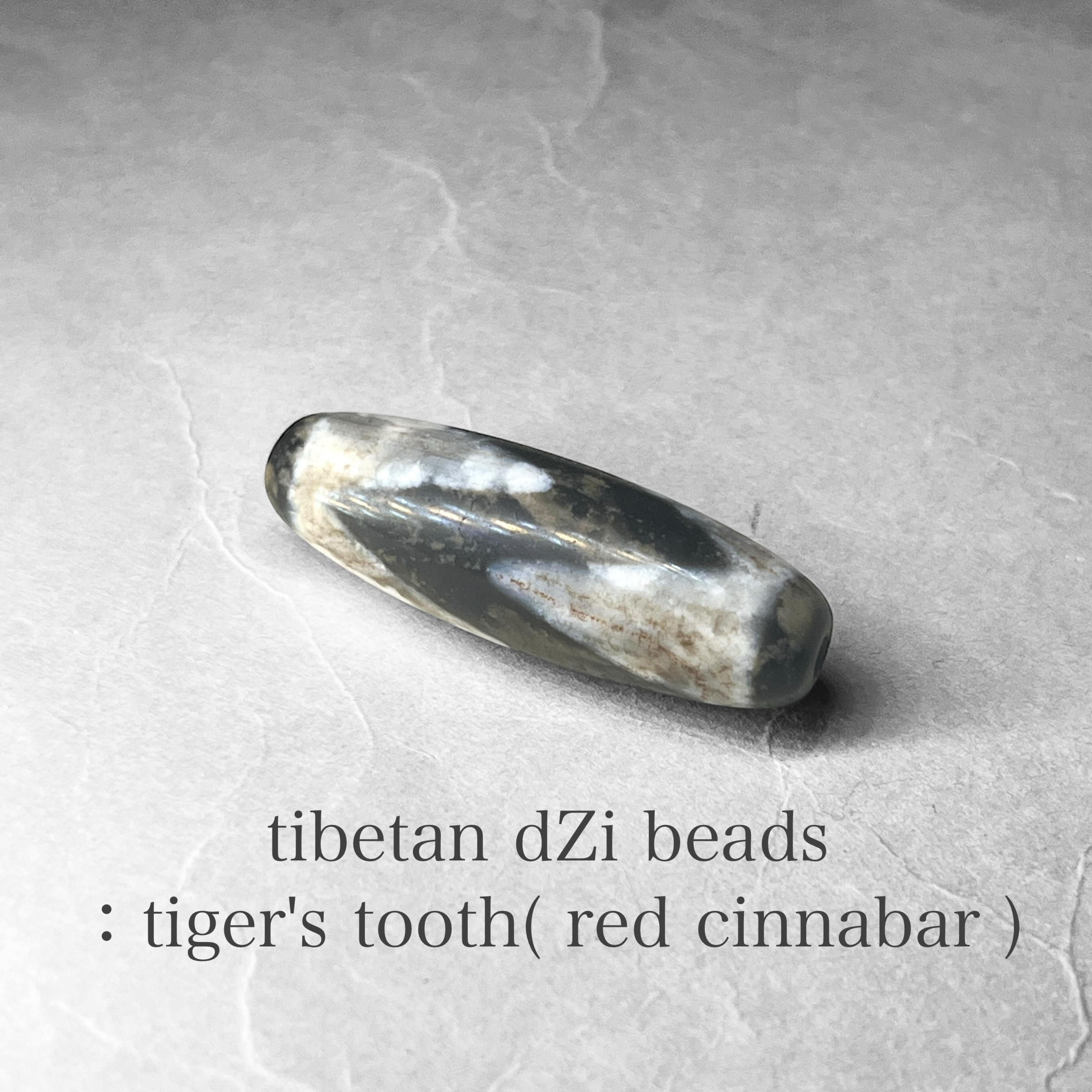 tibetan dZi beads：tiger's tooth / チベット産天珠：虎牙天寿