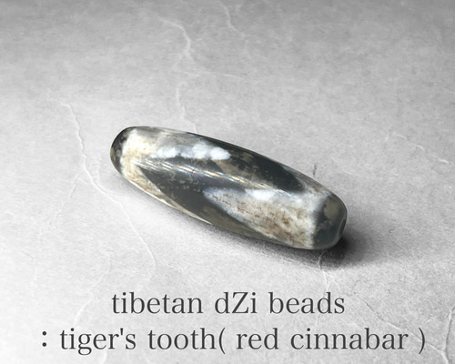 tibetan dZi beads：tiger's tooth / チベット産天珠：虎牙天寿 天然石