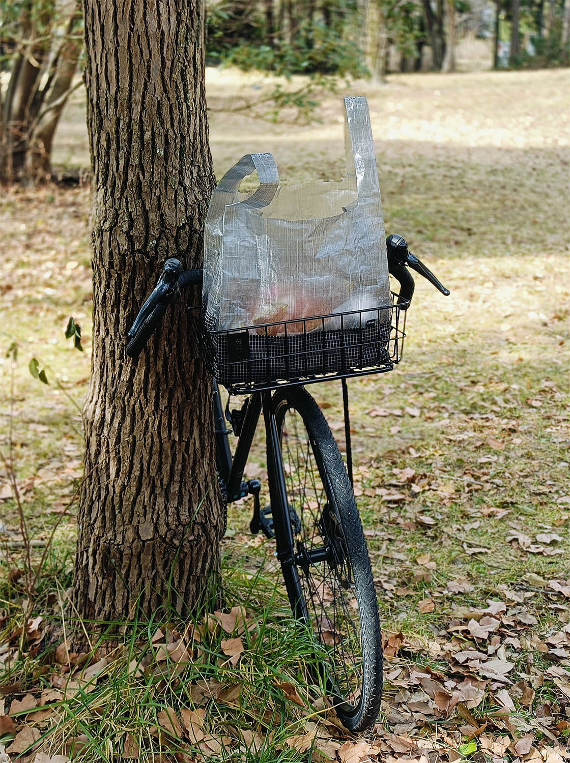 WALD137にジャストフィット軽量で丈夫なDCFのUL-DCF-SHOPPER(ウルトラライトDCFショッパー)