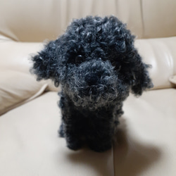 羊毛フェルト 甲斐犬 羊毛フェルト Kingこうた 通販 16436002｜Creema