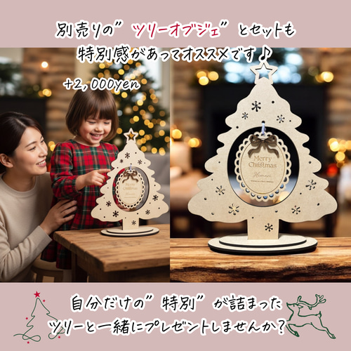 新品☆オカメインコ☆ノーマル☆クリスマス・オーナメント☆木製☆一点