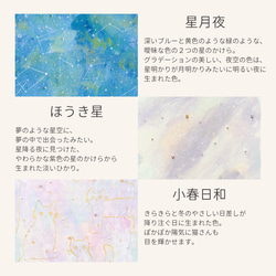 星辰碎片孕育的柔和色彩－熊森色彩裝飾的每一天。 第16張的照片