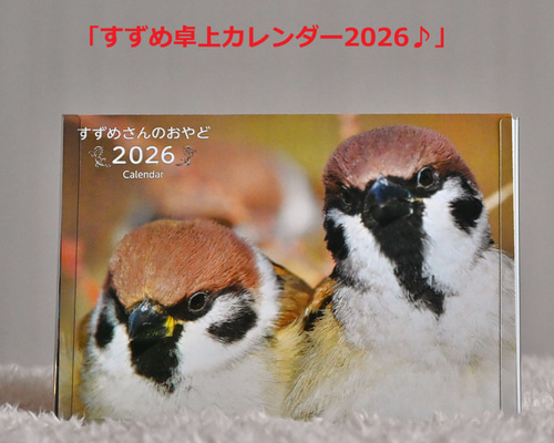 すずめ 49209b0b09747db911a7aae877b80f
