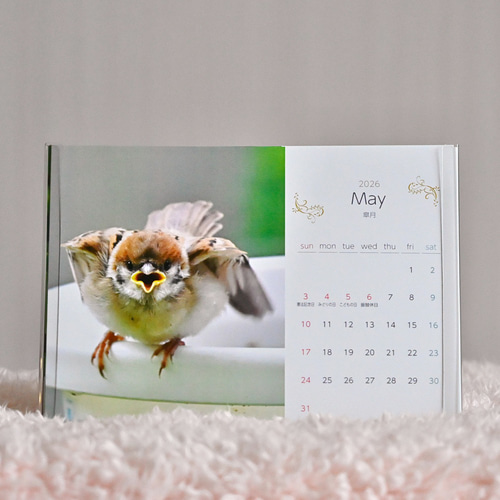 すずめ すずめ卓上カレンダー2026～♪」ご予約受付中です！ カレンダー すずめ