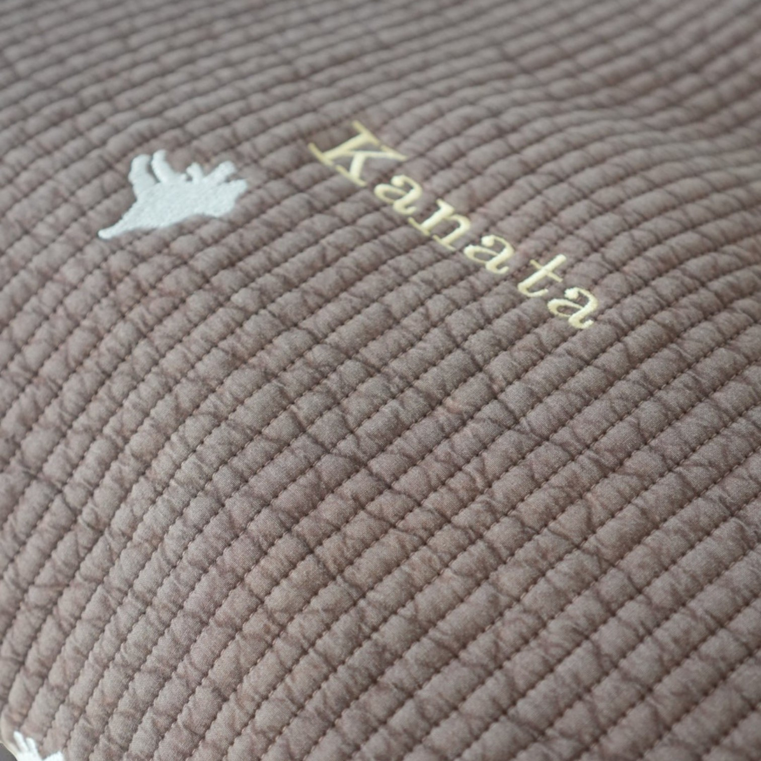 高見えするダイナソーブラウン入園入学セット。名入れでお子様だけの特別バッグに。恐竜好きの君へ届け！