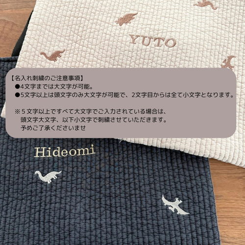高見えするダイナソーブラウン入園入学セット。名入れでお子様だけの