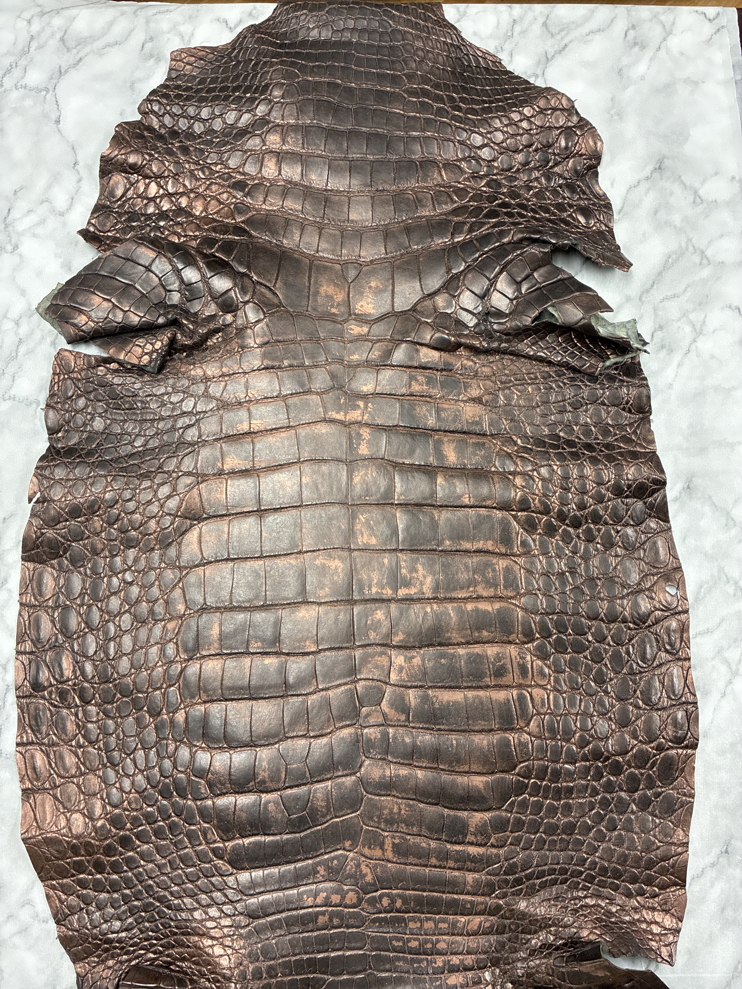 ♪レア商品♪ クロコダイル ワニ革 レッドパール_C81