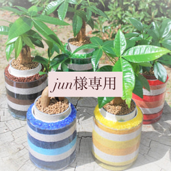 カラーサンドアート/パキラ/開店祝い/開業祝い サンドアート 開業祝い