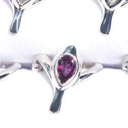 文鳥のせなかイヤカフ・ロードライトガーネットSV925【PioParakee】Java sparrow's beak 2枚目の画像