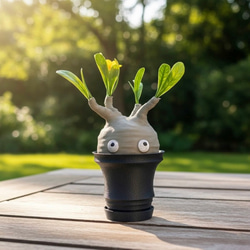 数量限定】オペルクリカリア・パキプス 10 フィギュア リアル塊根植物