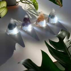 龍神のすず® 《おはなもあな限定》盛り塩龍神のすず 2026年 四方清め