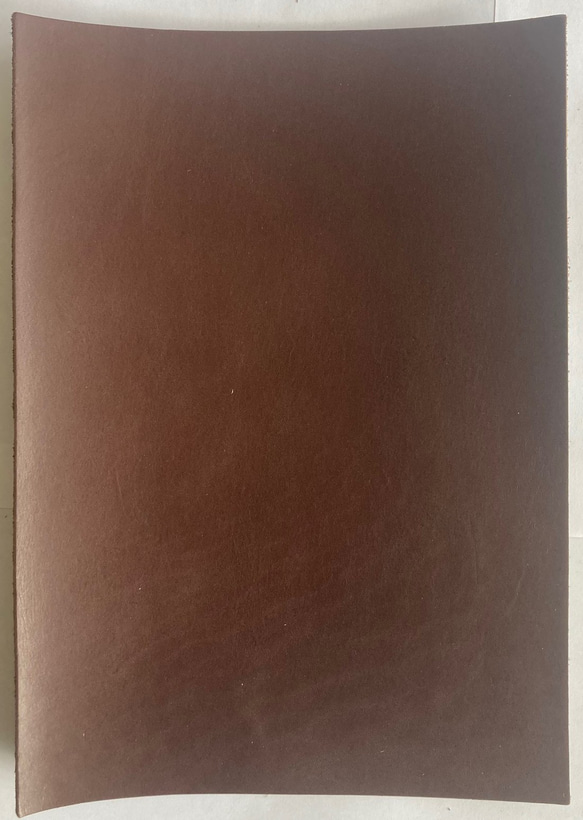 A4　タンニン　ダークブラウン　約3.8ｍｍ　特価☆まとめ売り　ＤＢＲ-2 2枚目の画像