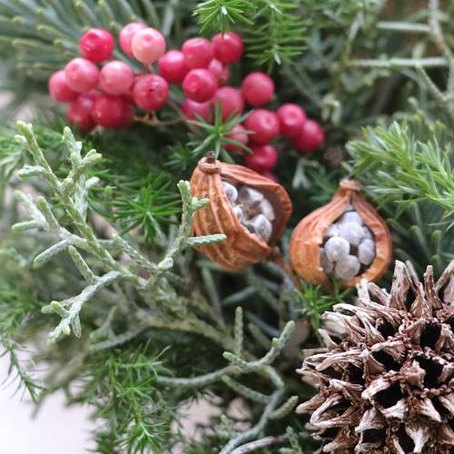 No22 ベリーのクリスマスリース　シャリンバイ　ペッパーベリー　ドライモス No22 ベリーのクリスマスリース シャリンバイ ペッパーベリー