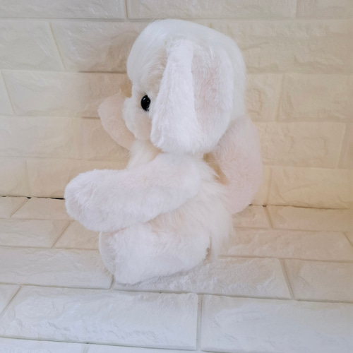 ぬいぐるみ、テディマルチーズ、犬、ハンドメイド、オリジナル、抱きしめられるサイズ 2.ぬいぐるみ、テディマルチーズ、犬、ハンドメイド、オリジナル、特大