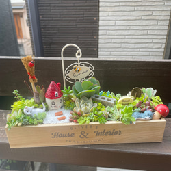 プレゼントにも〜受注制作 大 うさぎちゃん箱庭風多肉植物寄せ植え