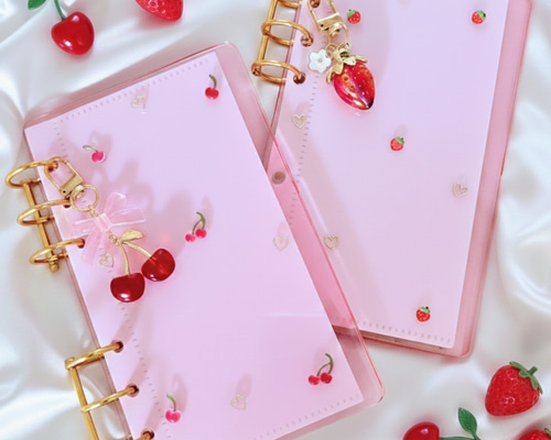 選べる2種】A6 レジン 貯金バインダー 家計管理｜積立貯金・saving