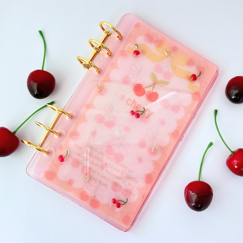 A6 レジン貯金バインダー｜積立貯金・saving・家計管理におすすめ