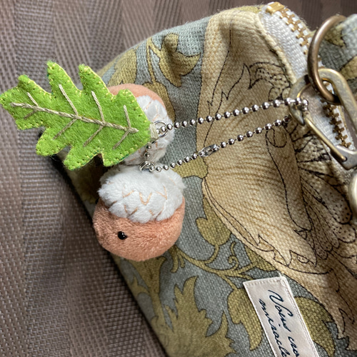 どんぐり図鑑 (ミズナラ、アカガシ、マテバシイ、オーク）【秋限定2025