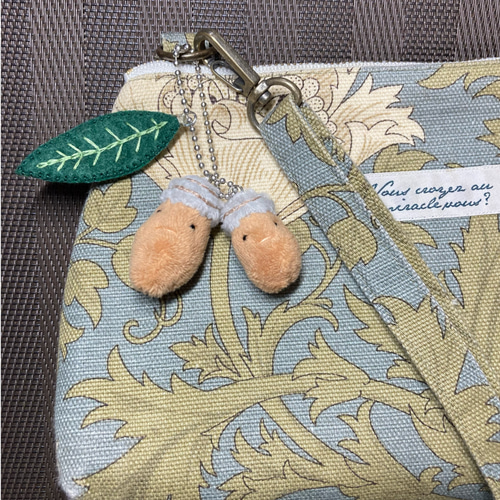 どんぐり図鑑 (ミズナラ、アカガシ、マテバシイ、オーク）【秋限定2025