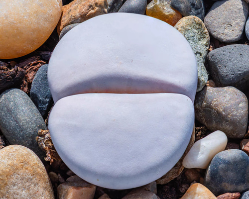 3661be3b6fd36e860986dd66182e2b