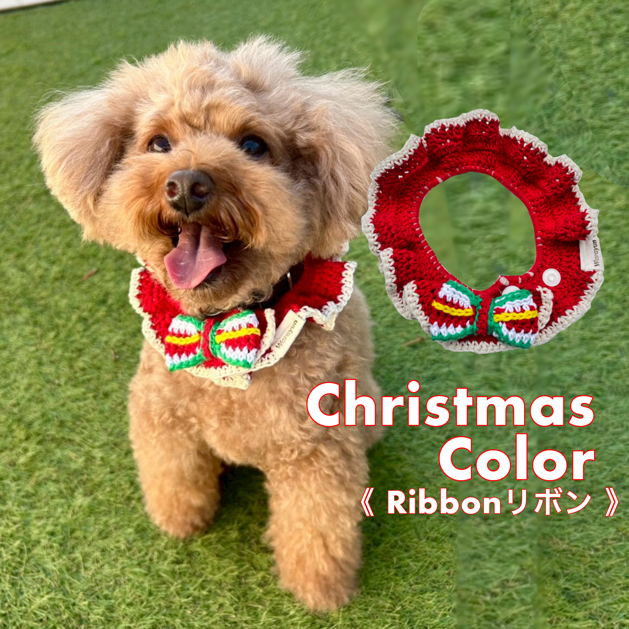 Ribbonリボン》クリスマスカラー犬用フリル襟 コットン100% ペット首輪