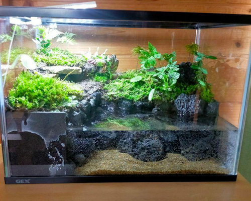 7b5cd225a7b60e92f93cd7acdb5d81