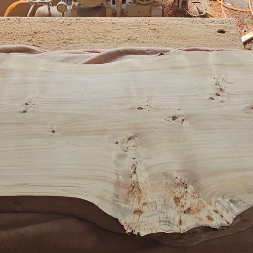 ポプラ　一枚板　ダイニング　テーブル　座卓　ローテーブル　栃　リビング　楠　杢 ポプラ 一枚板 ダイニング テーブル 座卓 ローテーブル 栃 リビング 楠