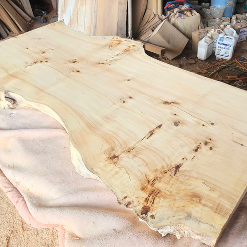 ポプラ　一枚板　ダイニング　テーブル　座卓　ローテーブル　栃　リビング　楠　杢 ポプラ 一枚板 ダイニング テーブル 座卓 ローテーブル 栃 リビング 楠