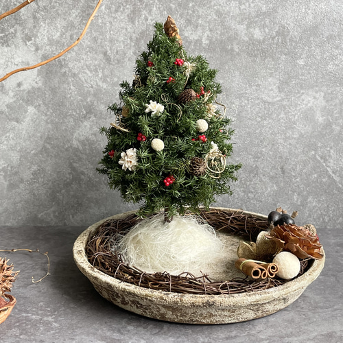 ミニクリスマスツリープレート プリザーブドフラワー seed leaf53 通販