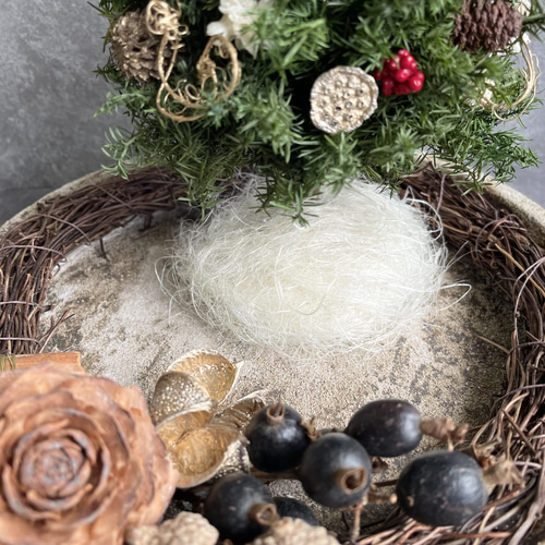 ミニクリスマスツリープレート プリザーブドフラワー seed leaf53 通販