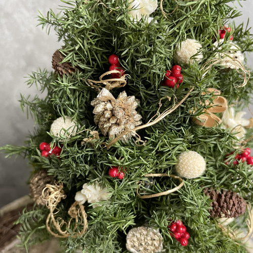 ミニクリスマスツリープレート プリザーブドフラワー seed leaf53 通販