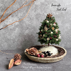 ミニクリスマスツリープレート プリザーブドフラワー seed leaf53 通販