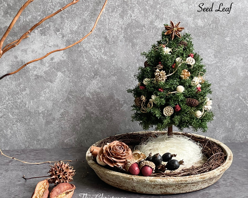 d8f62f95a5f2c938f576f9ff1229aa