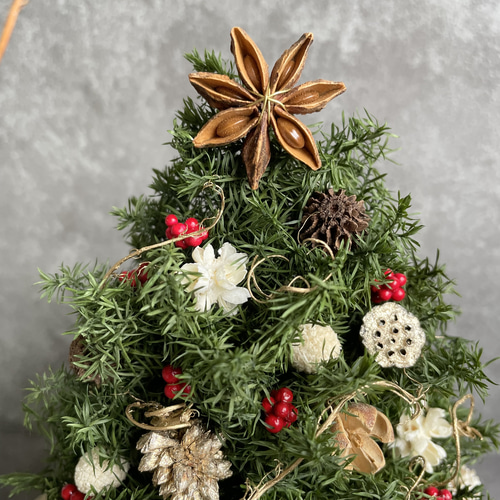 ミニクリスマスツリープレート プリザーブドフラワー seed leaf53 通販