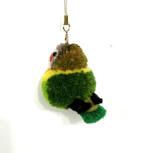 ぽんぽん小鳥 小さなインコシリーズ キエリクロボタンインコ