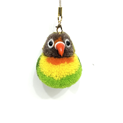 ぽんぽん小鳥 小さなインコシリーズ キエリクロボタンインコ