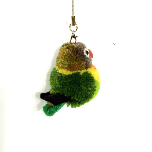 ぽんぽん小鳥 小さなインコシリーズ キエリクロボタンインコ
