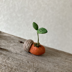 9849.bud 粘土のどんぐり 2枚目の画像