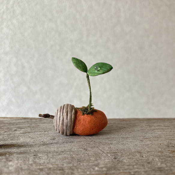 9849.bud 粘土のどんぐり 1枚目の画像