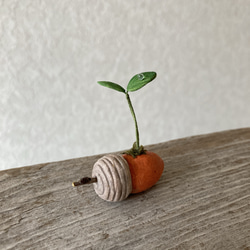 9849.bud 粘土のどんぐり 4枚目の画像