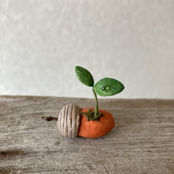 9849.bud 粘土のどんぐり 3枚目の画像