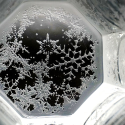 雪華霜走・追奏 14枚目の画像