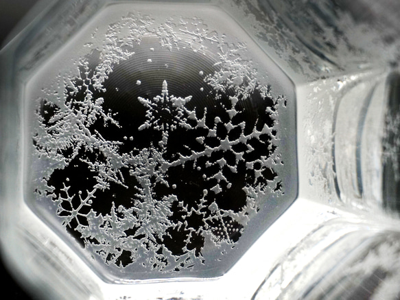 雪華霜走・追奏 14枚目の画像