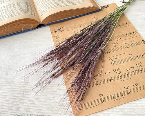 古代米 神丹穂 むらさき 【ドライフラワー】 お正月 その他素材