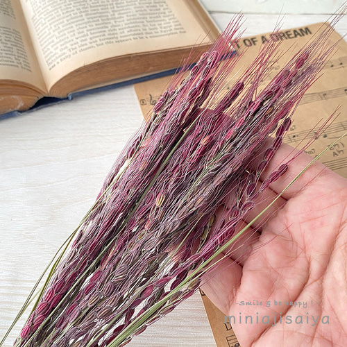 しめ縄♡丹波篠山もち米の稲藁 すすきリーフmix ドライフラワー しめ縄♡丹波篠山もち米の稲藁 すすきリーフmix ドライフラワー