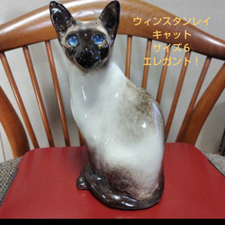 ウィンスタンレイキャット（ケンジントンキャット）サイズ4の