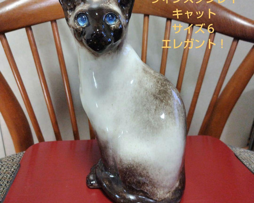 ウィンスタンレイキャット（ケンジントンキャット）サイズ6、大きな