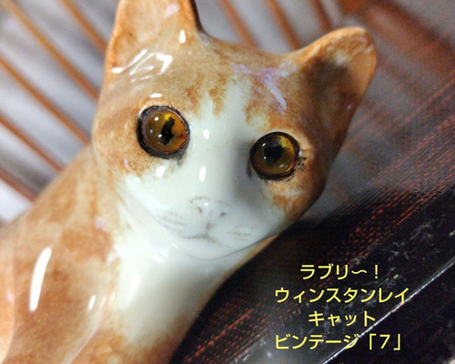 ウィンスタンレイキャット（ケンジントンキャット）ビンテージNo.7の